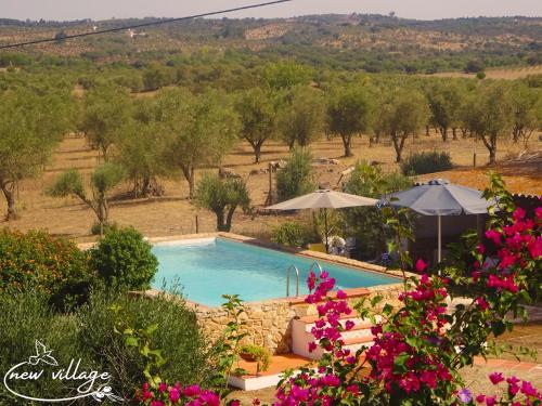 a swimming pool in a garden with flowers at New Village in Vila Nova da Baronia