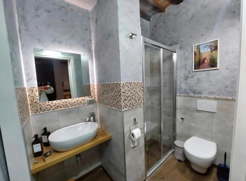 a bathroom with a sink and a shower and a toilet at Tipical Tuscany Apartment near Lucca! in Capannori