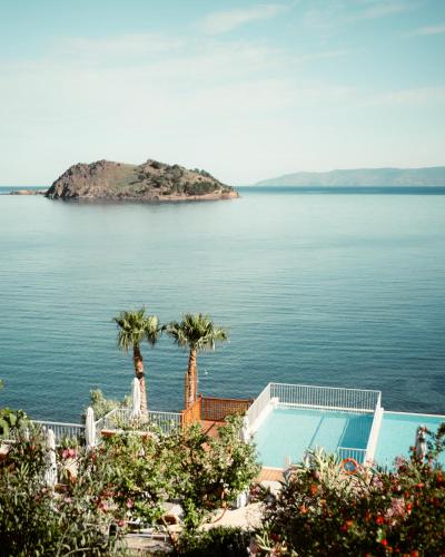 a view of a body of water with palm trees at Birds Bay Resort in Petra