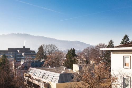 vista su una città con una montagna sullo sfondo di CITY STAY - Lindenstrasse a Zurigo