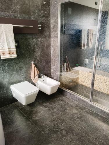 a bathroom with a toilet and a sink and a shower at Playadeivo in Pineto