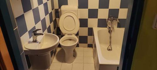 a bathroom with a toilet and a sink at Zlatý Žabák in Suchý