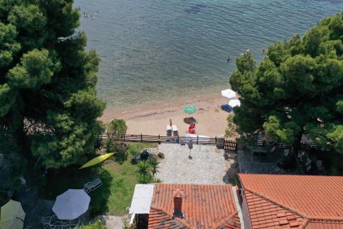 The House by the Beach, Metamorphosis