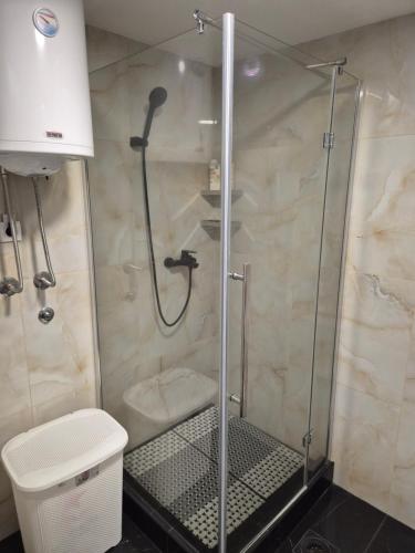 a shower with a glass door in a bathroom at Apartman Jelena in Surčin