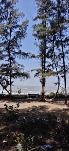 a park with a bench and trees on the beach at Awas Beach Stays in Avas