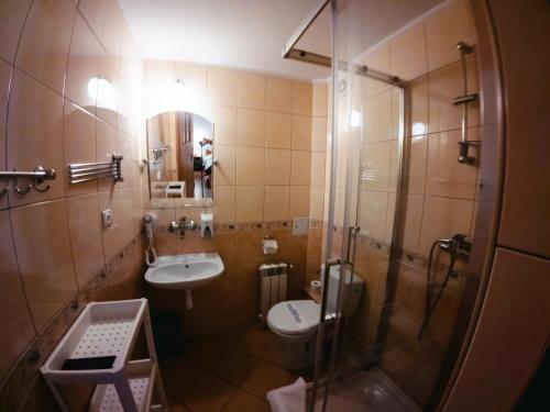 a bathroom with a shower and a sink and a toilet at Willa Anna Maria in Wysowa-Zdrój