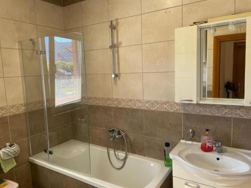 a bathroom with a shower and a sink and a tub at Teuta Apartment in Tivat in Župa