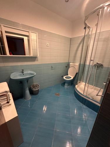 a bathroom with a toilet and a sink and a shower at Villa M, App 4 - 6 persons direct on the seaside, 1st floor in Ljubač