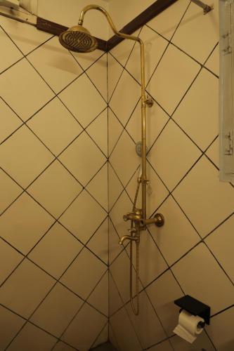 a shower in a bathroom with a roll of toilet paper at Chirmi Palace - A Heritage Home in Jaipur