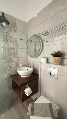 a bathroom with a sink and a toilet and a mirror at Garden Villa in Karpathos