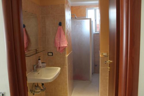 bagno con lavandino e doccia di AnVi Apartment a Pollena Trocchia