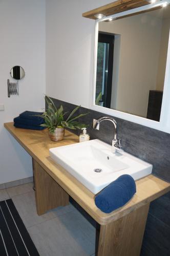 a bathroom counter with a sink and a mirror at BluGarden Ferienapartments im Spreewald in Lübben