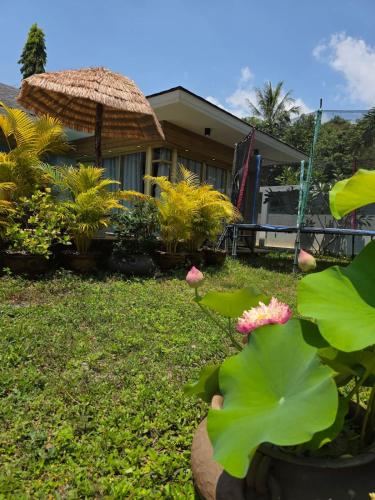 a house with a yard with plants and an umbrella at Golden Villa in Ko Phangan