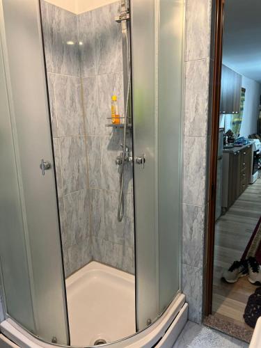 a shower with a glass door in a bathroom at Motina River Guesthouse in Tropojë