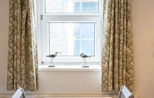 two birds sitting on a window sill with curtains at Old Vicarage Mortehoe Near Woolacombe 2 x sleeps 4 and 1 x sleeps 10 cottages in Mortehoe