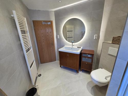 a bathroom with a toilet and a sink and a mirror at Bernstein-Chalet unten in Hohwacht