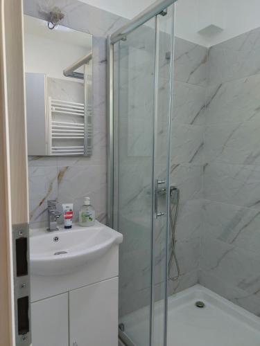 a bathroom with a glass shower and a sink at Romanescu Parc Apartment in Craiova