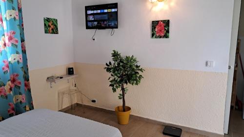 a bedroom with a plant and a tv on the wall at Résidence Fleur de Lys in Petit-Bourg