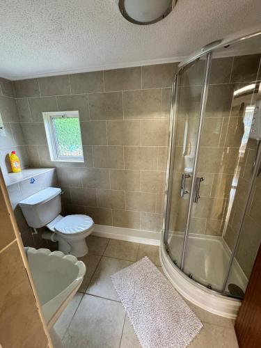 a bathroom with a shower and a toilet and a sink at The pool house in Bedford