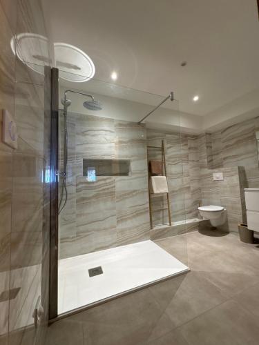 a bathroom with a shower and a toilet at Appartement Bastia Cardo Village in Bastia