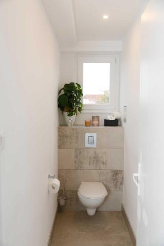 Superb 3bdr 6P family flat in Strasbourg