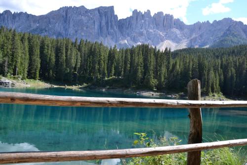 a view of a lake with mountains in the background at Hotel Regglbergerhof in Nova Ponente