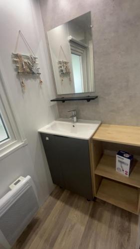 a bathroom with a sink and a mirror at Chez Gill & Clo in Saint-Julien-en-Born