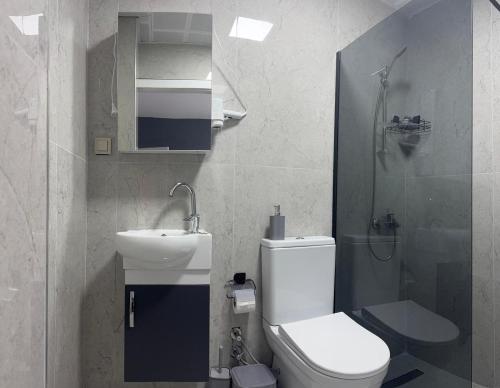 a bathroom with a toilet and a sink and a shower at New Yasamkent Atakoru Double Suite in Alacaatlı