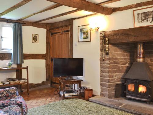 a living room with a fireplace and a television at Hollywall Croft in Stoke Prior
