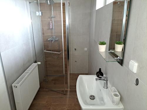 a bathroom with a shower and a white sink at Apartmán Bezručka in Třinec