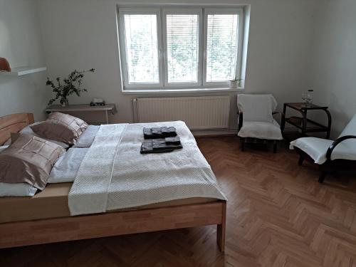 a bedroom with a large bed and two windows at Apartmán Bezručka in Třinec