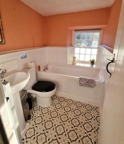a bathroom with a tub and a toilet and a sink at River Cottage in Llanbedr