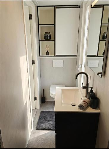 a small bathroom with a sink and a toilet at The Wellness View! in Hoogersmilde