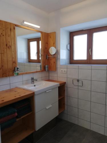 a bathroom with a sink and a mirror at Erlhofer Apartments in Tröpolach