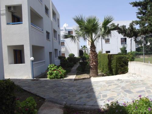 a palm tree in front of a building at Kefalonitis Hotel Apartments in Paphos City