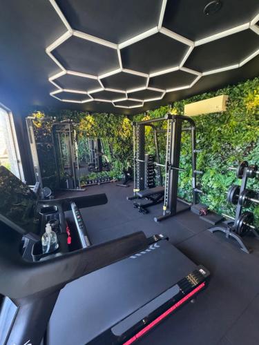 a gym with treadmills and cardio equipment and plants at Pousada Villa Canaã in Búzios