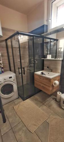a bathroom with a washing machine and a sink at Anna Vendégház in Kápolnásnyék