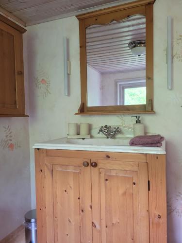 a bathroom with a sink and a mirror at Mörrum, Haus 2 & 3 in Mörrum