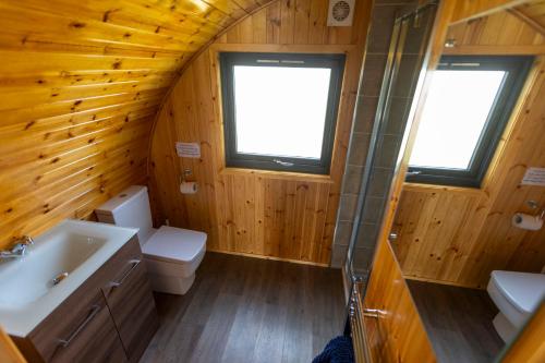 a bathroom with a toilet and a sink at Fulshaw Mill Holidays in Stewarton