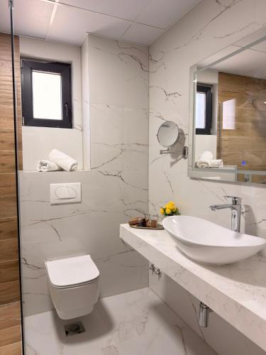 a bathroom with a sink and a toilet and a mirror at Boutique Hotel Nika in Ohrid