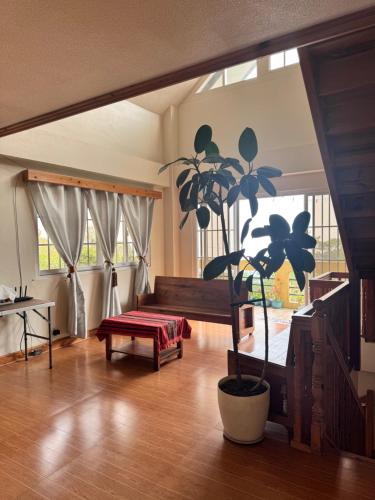 a living room with a potted plant and a couch at VidHuset Homestay Sagada in Sagada