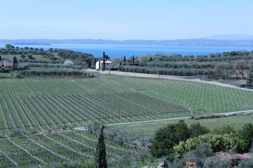 WANDERLUST OASI, COUNTRYSIDE APARTMENTS - Bardolino, Lago di Garda - Verona