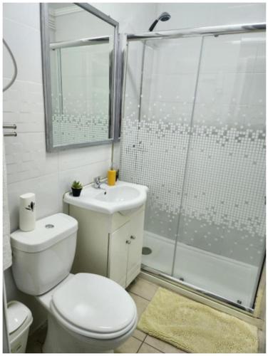 a bathroom with a shower and a toilet and a sink at Casa Rosa da Serra in Sintra