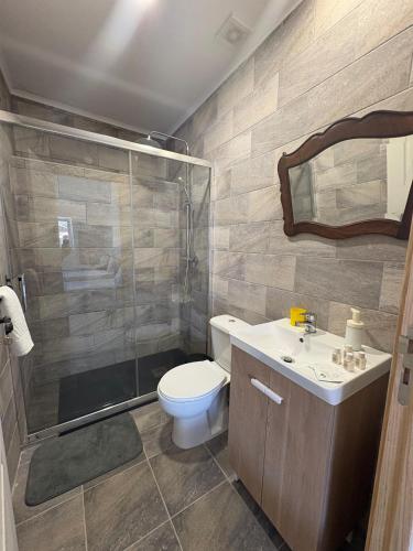 a bathroom with a shower and a toilet and a sink at Ribeirinha in Lousã