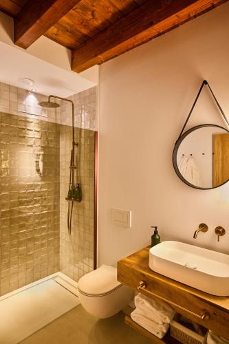a bathroom with a shower and a toilet and a sink at Otegui Etxea Casa Rural in Aspuru