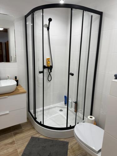 a shower in a bathroom with a toilet and a sink at Tleniowo in Tleń