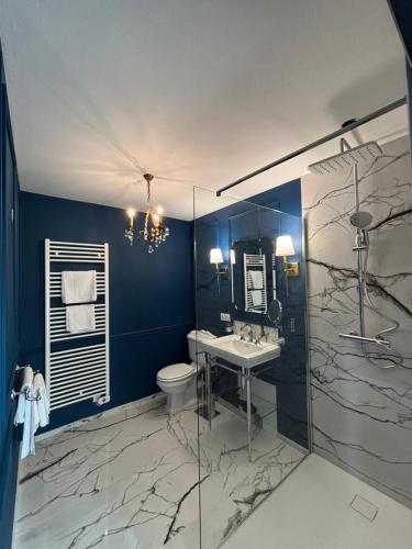 a bathroom with a toilet and a sink and a shower at Le Molineuf in Orchaise