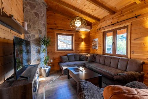 a living room with a couch and a tv in a cabin at Zabes Home in Zabes