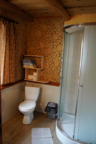 a bathroom with a toilet and a shower at Domek u Johnnego 28 in Piwniczna Zdrój