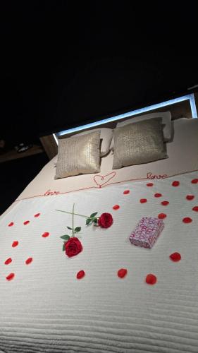 a bed with red rose petals on it at Fleur de Lune in Amiens